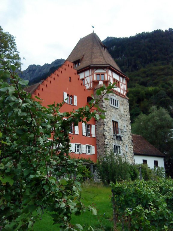 fotos von handy 185